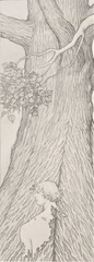 Ombra mai fu